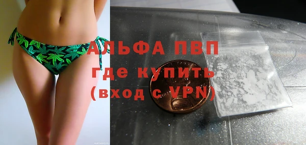 PSILOCYBIN Медвежьегорск