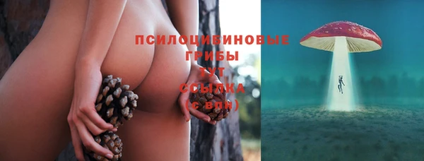 ГАЛЛЮЦИНОГЕННЫЕ ГРИБЫ Мегион