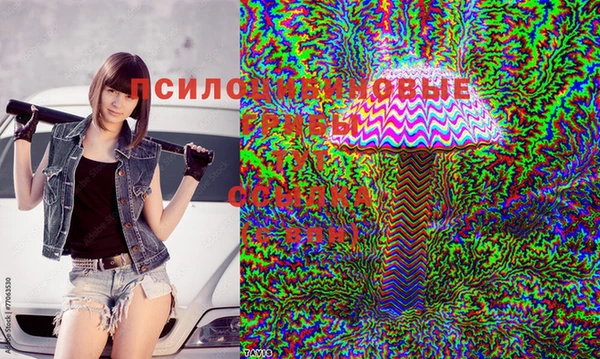 ГАЛЛЮЦИНОГЕННЫЕ ГРИБЫ Мегион