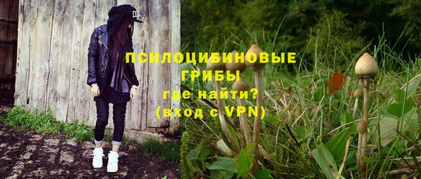 PSILOCYBIN Медвежьегорск
