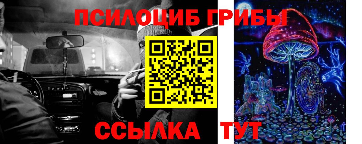 Псилоцибиновые грибы прущие грибы  Скопин  Галлюциногенные грибы Cubensis 